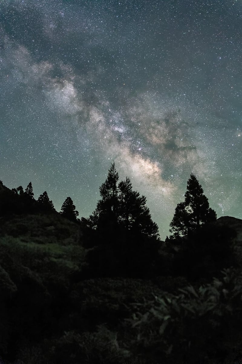 Milky Way Weddings